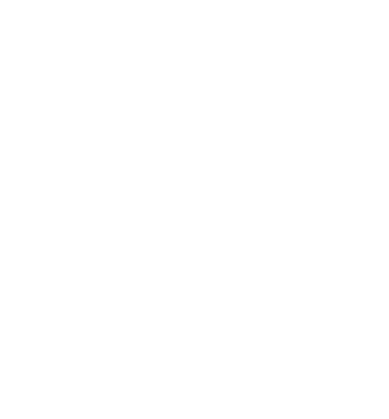SNF Navigation Logo